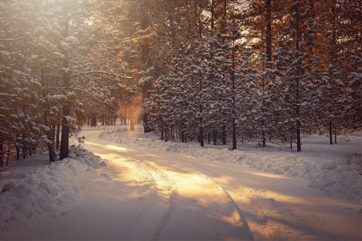 Heated garments are a practical addition to any rider’s gear collection, not just for winter